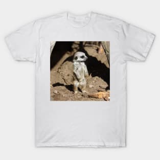 Meerkat 063 T-Shirt